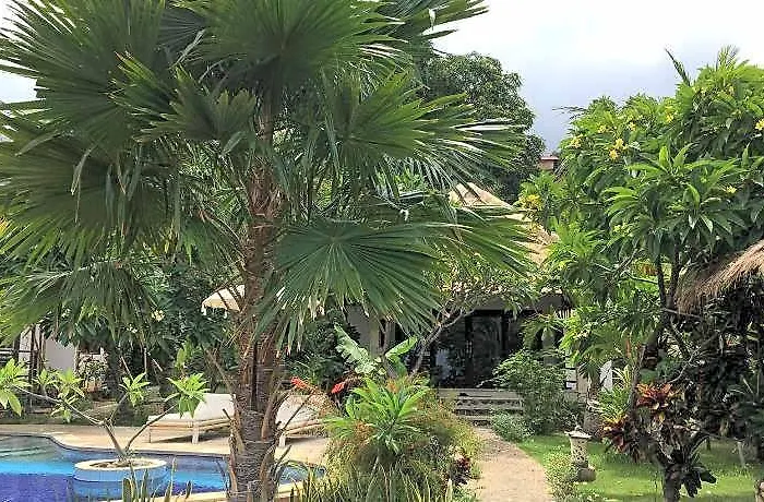 Bali Dream House 3*