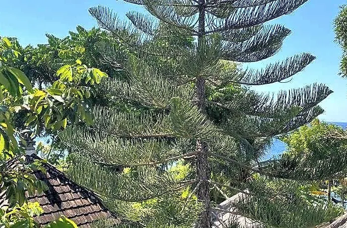 Village de vacances Bali Dream House 3*